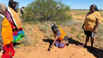 Traditional and modern techniques are being combined to track animals in the Tanami desert. (HANDOUT/CENTRAL LAND COUNCIL)